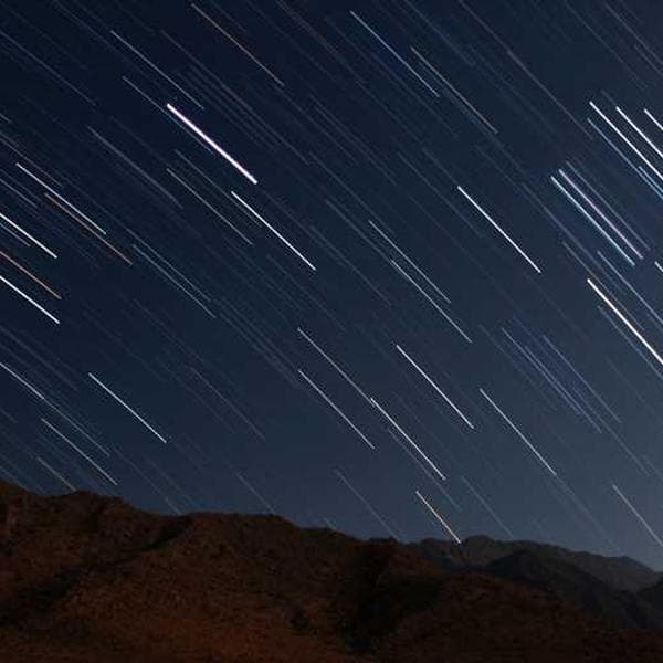 Ergonomic Office Chair